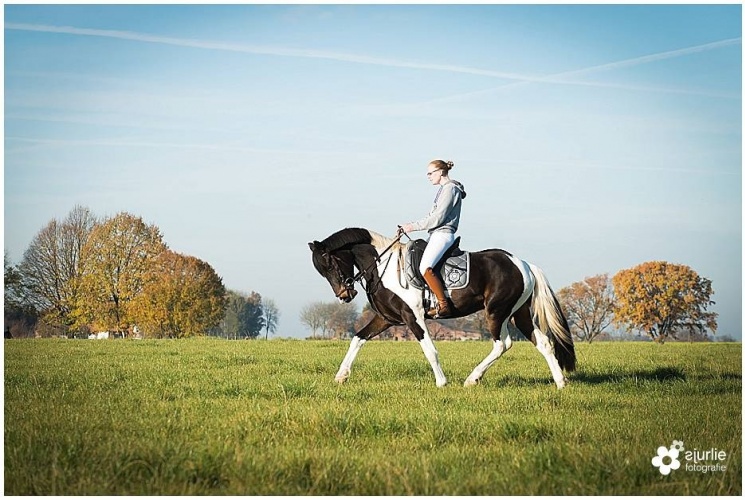 paardenfotograaf Limburg