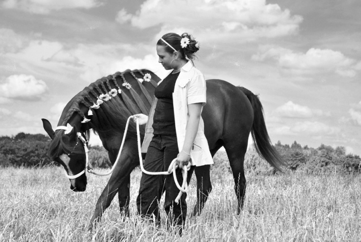 Paardenfotograaf Limburg
