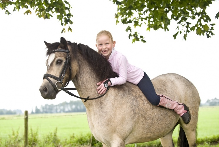Paardenfotograaf Limburg