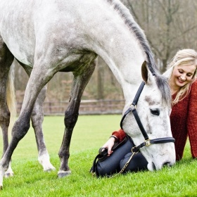 paardenfotograaf Limburg